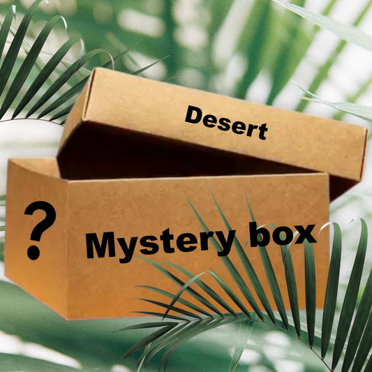 Mystery box Wüstepflanzen