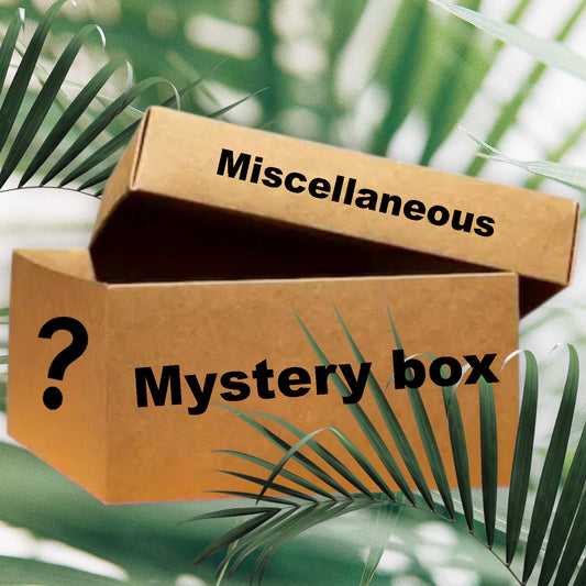 Mystery box von all unsere Pflanzen