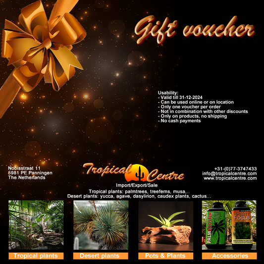 Geschenk Gutschein EUR 25.00